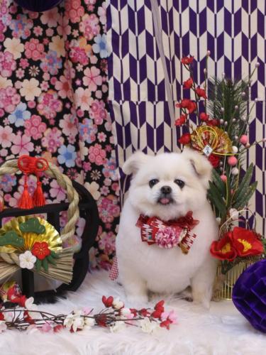 20250114ララちゃん